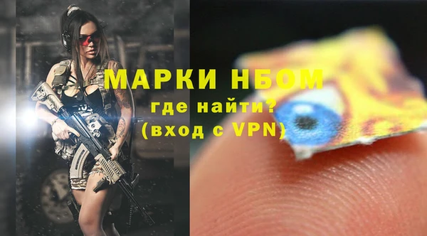 молекула духа Арсеньев