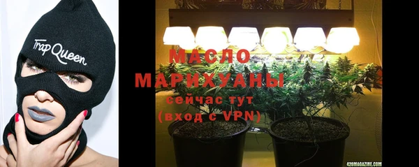 молекула духа Арсеньев