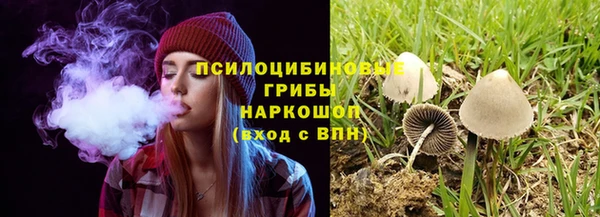 молекула духа Арсеньев