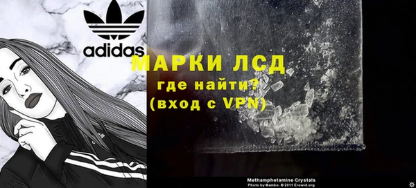 молекула духа Арсеньев