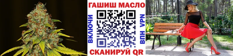 мега онион  Новая Ладога  ТГК THC oil  сколько стоит 